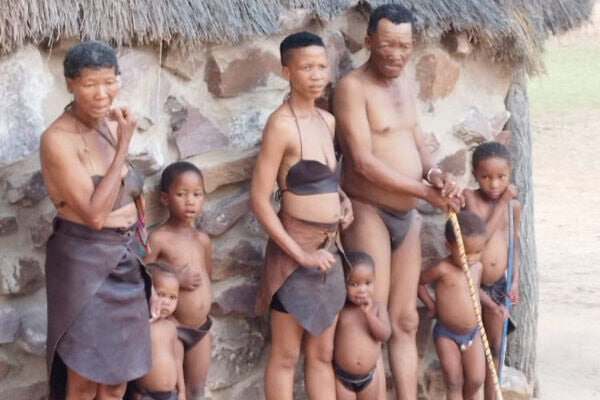 Bushman V