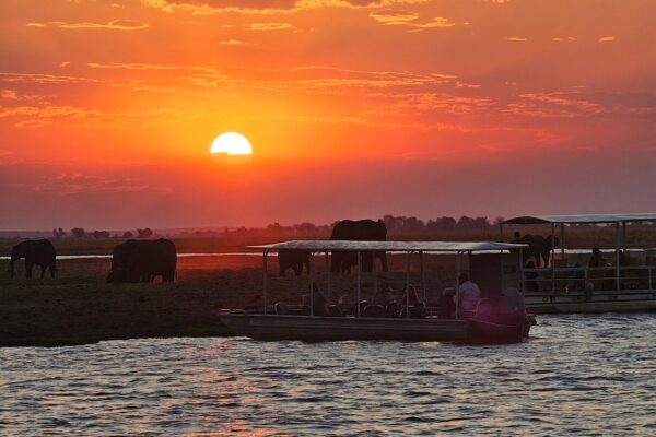 Chobe Sunset