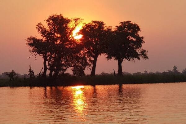 Chobe21