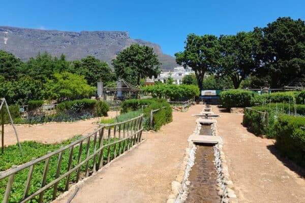 Company Gardens