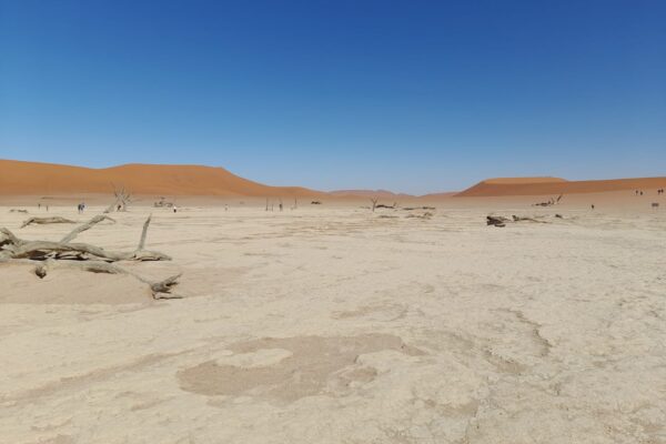 Deadvlei 1 Deadvlei 1