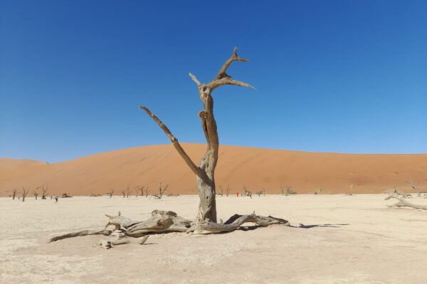 Deadvlei Deadvlei