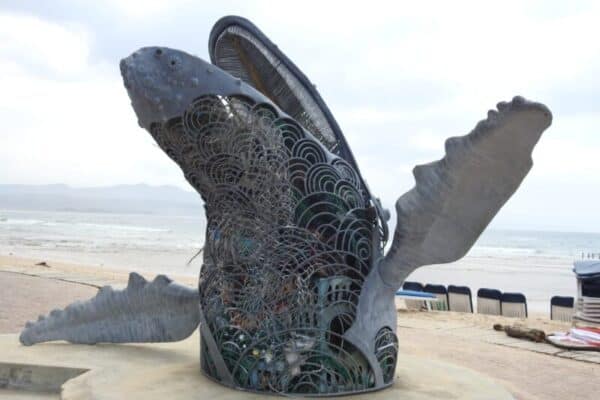 Hermanus
