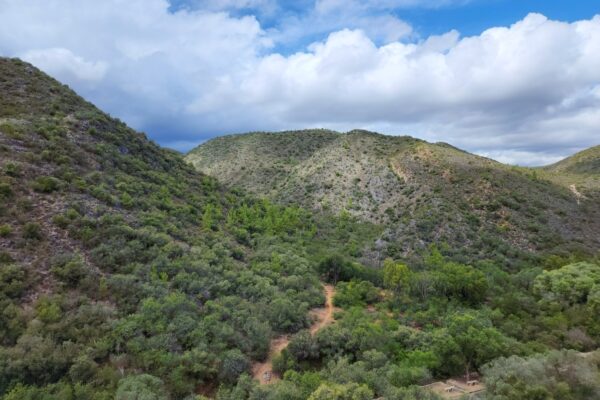 Karoo1