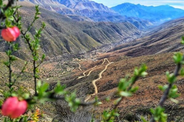 Karoo2