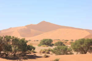 Namib 10