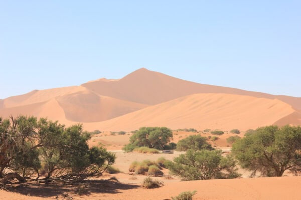 Namib 10