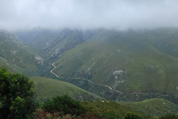 Outeniqua
