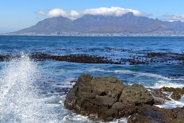 RobbenIsland
