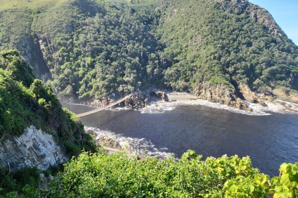 Stormsriver Mouth 1