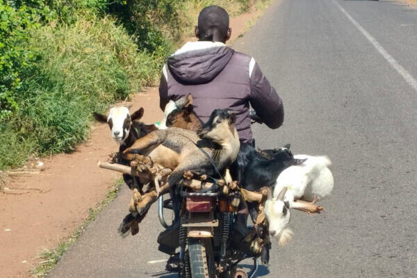 Transport