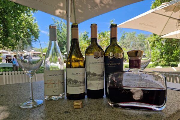 Winetasting