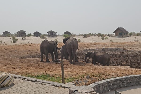 Elephant Sands a
