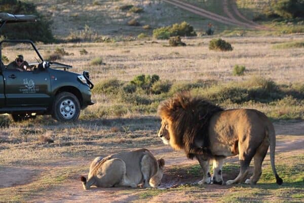 Garden Route Game Lodge